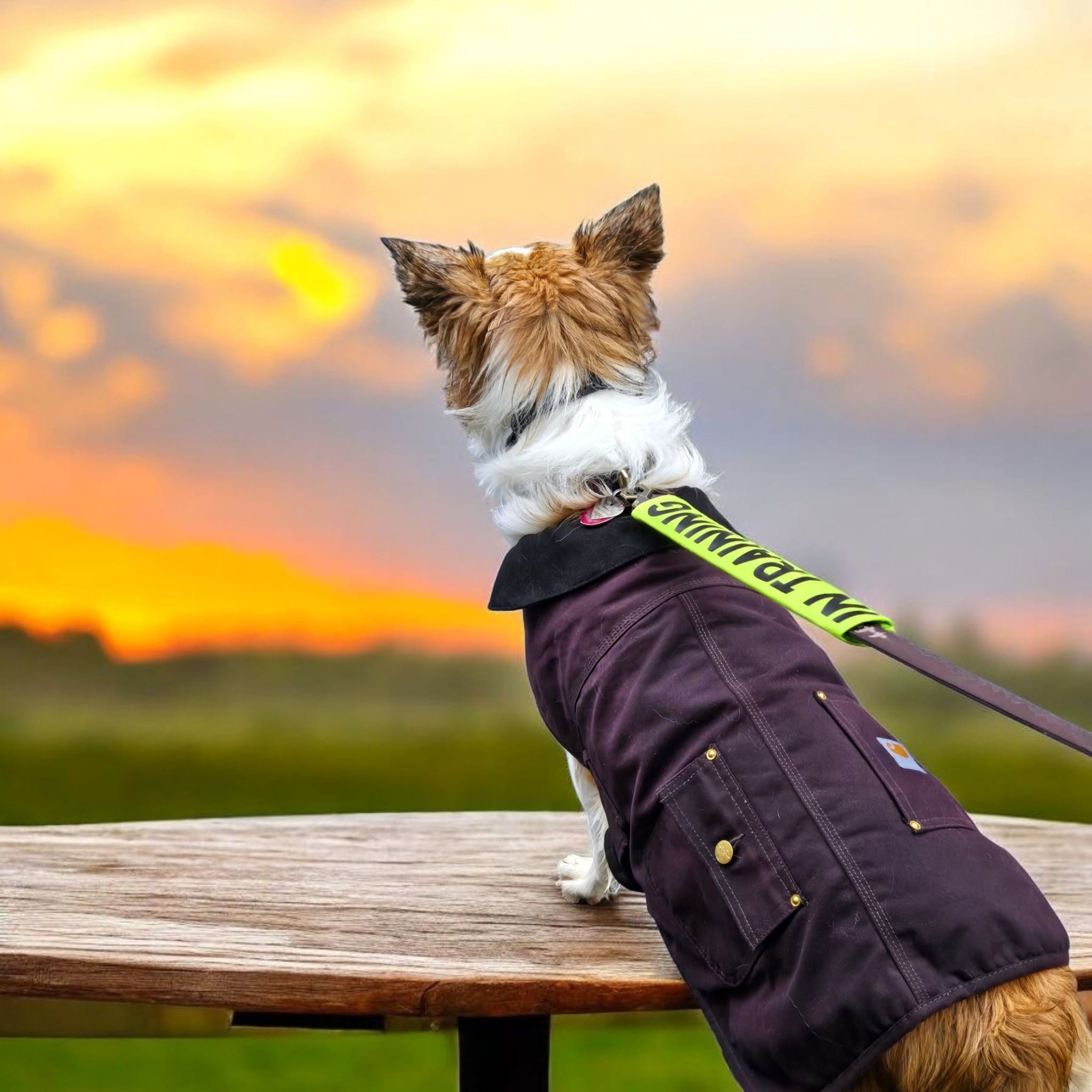 Leash Sleeves/Flags