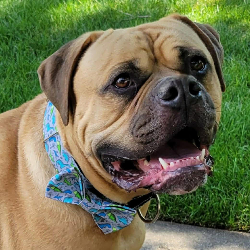 Bowties