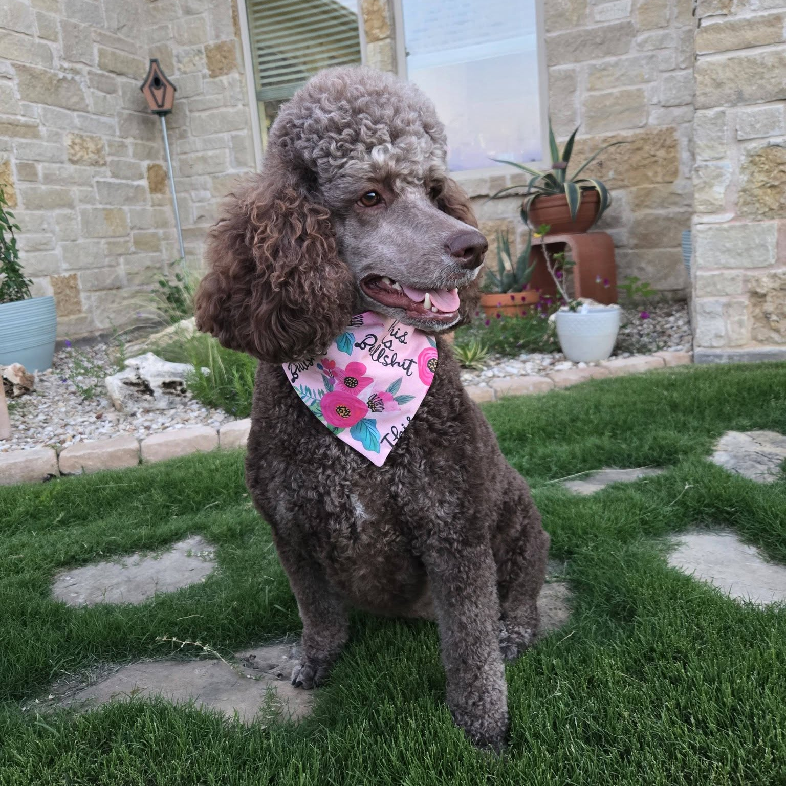 Reversible Bandanas