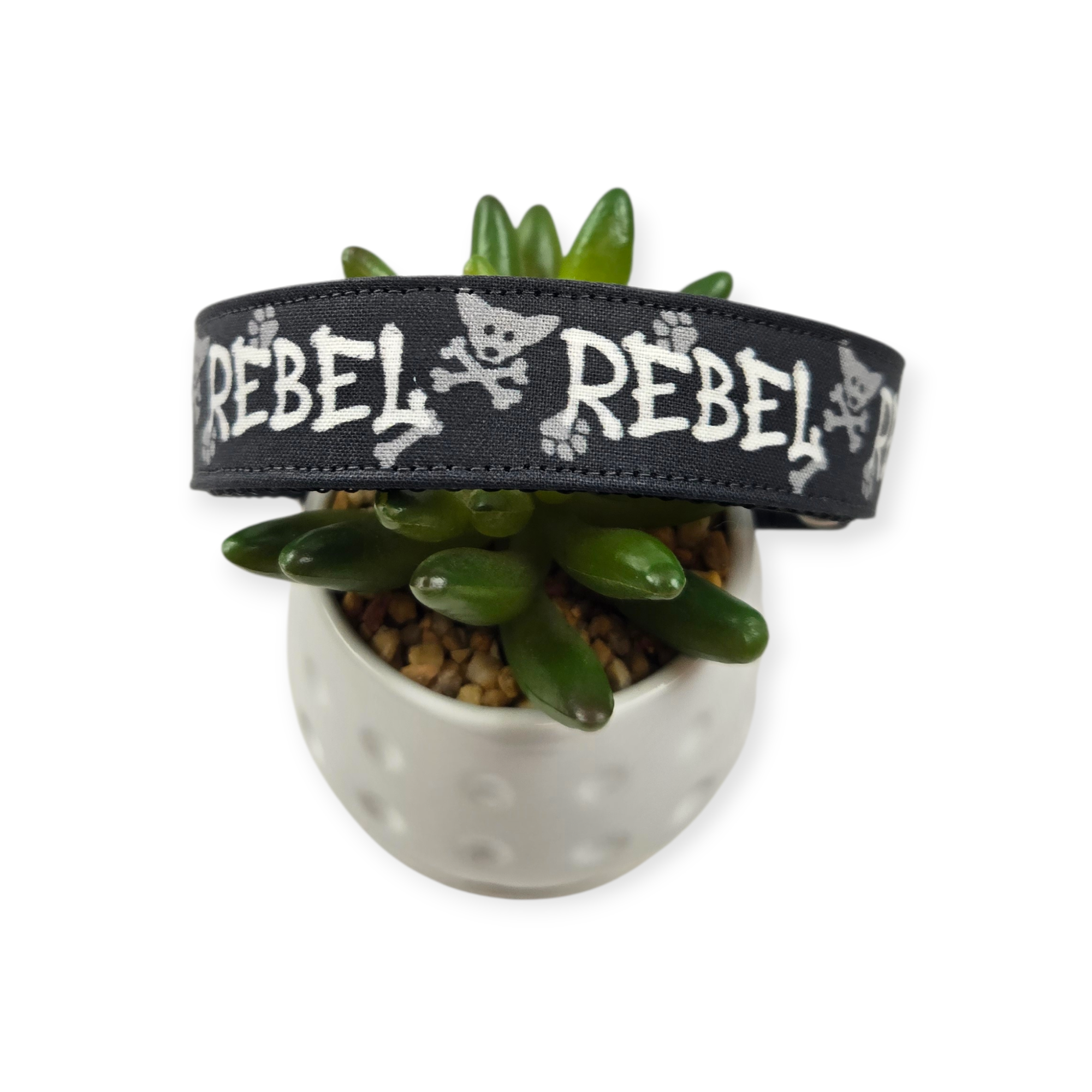Rebel Dog Collar (Large)