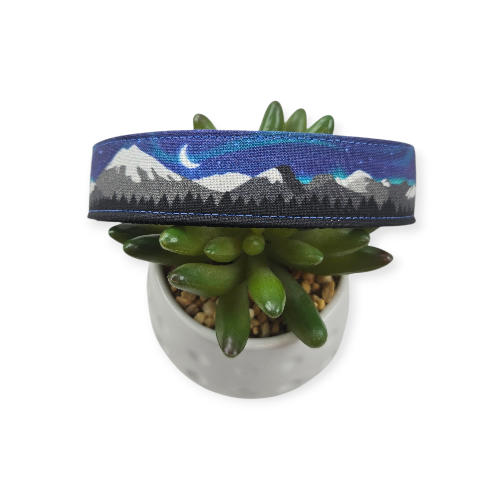 Aurora Borealis Dog Collar (Large)