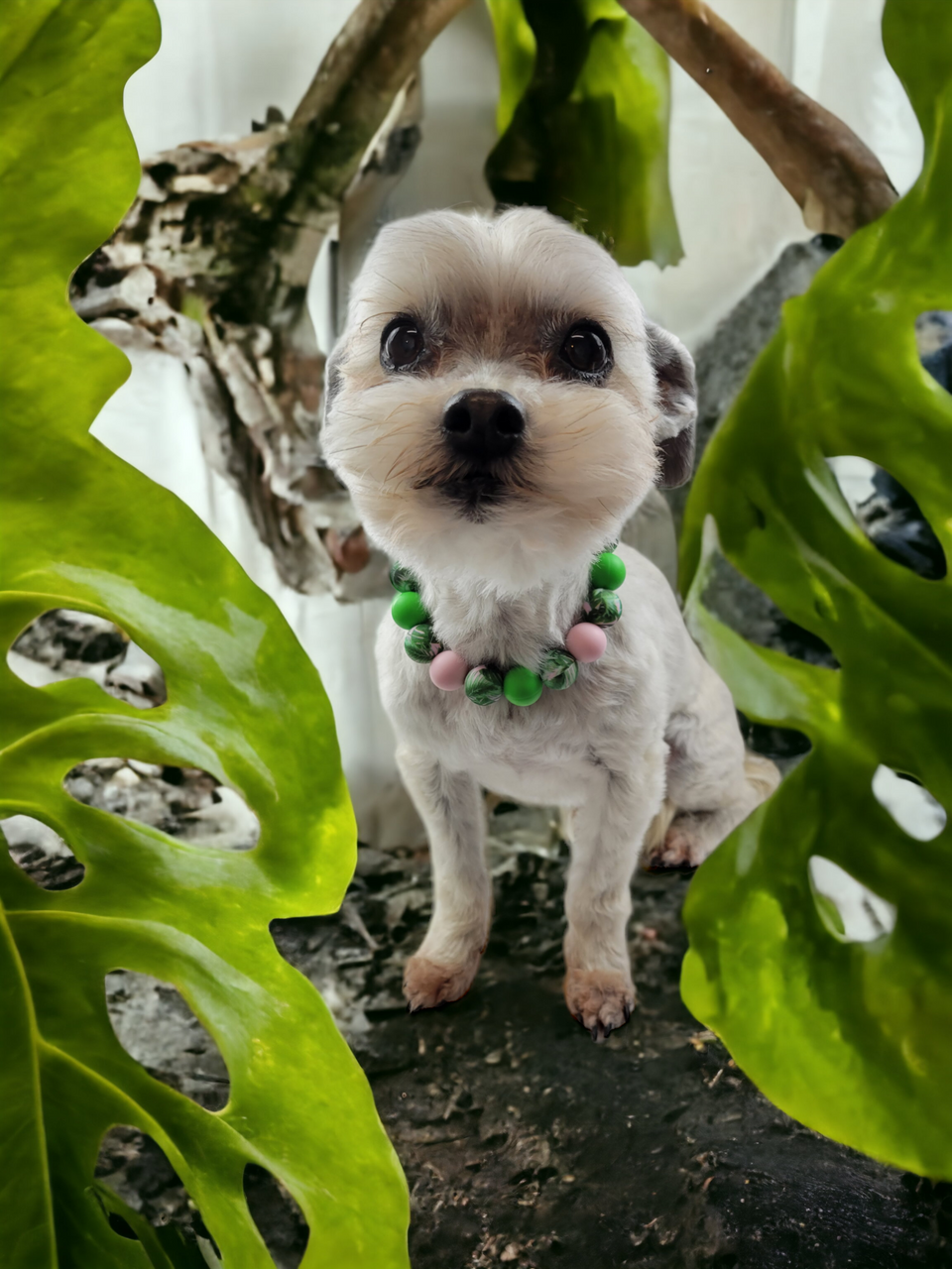 Pink & Aqua Tie Dye Paws Beaded Collar - 18.5"