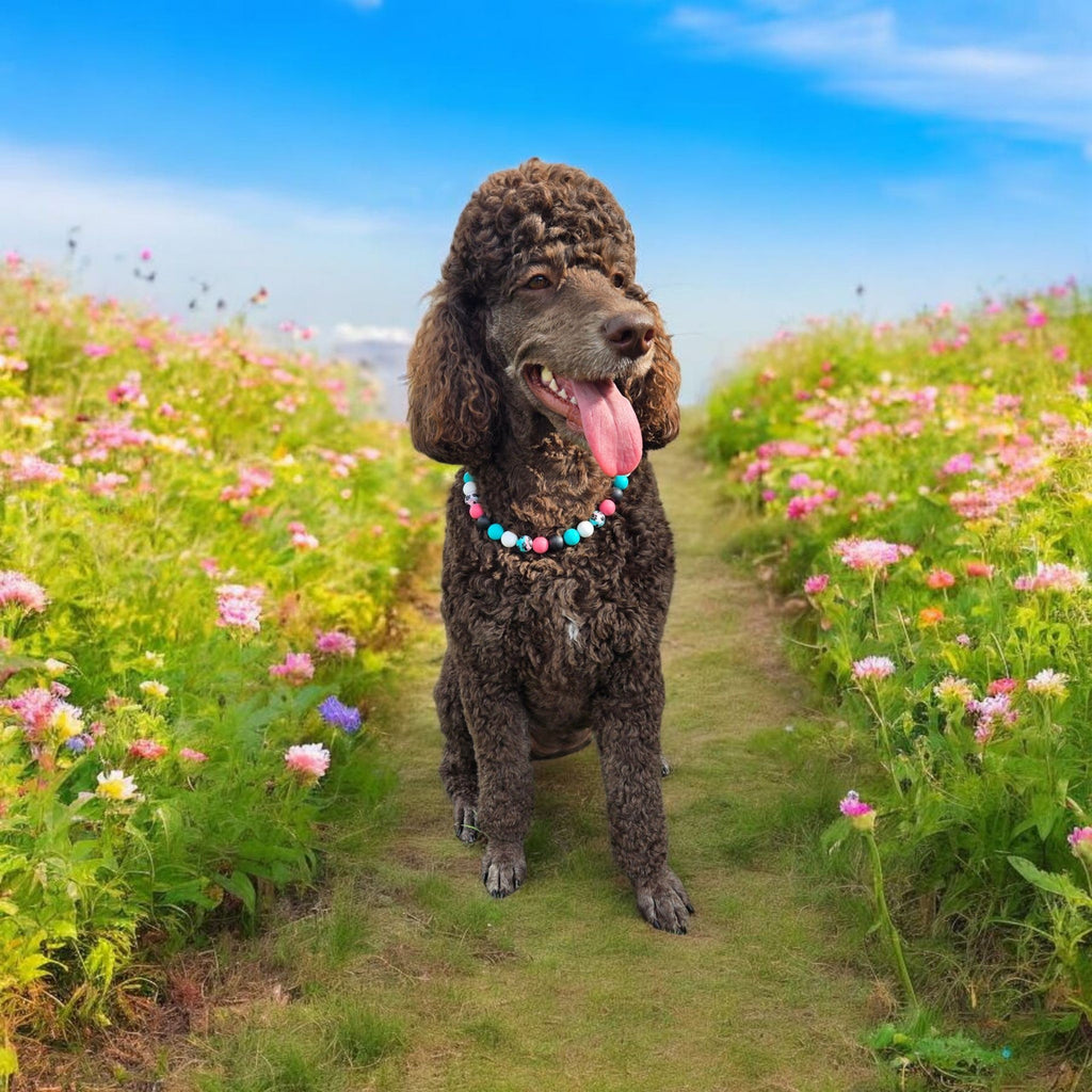 Rose Gold Pearl Beaded Collar - 13.5"