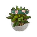 Christmas Tree Cakes Kitty Collar (XX-Small)