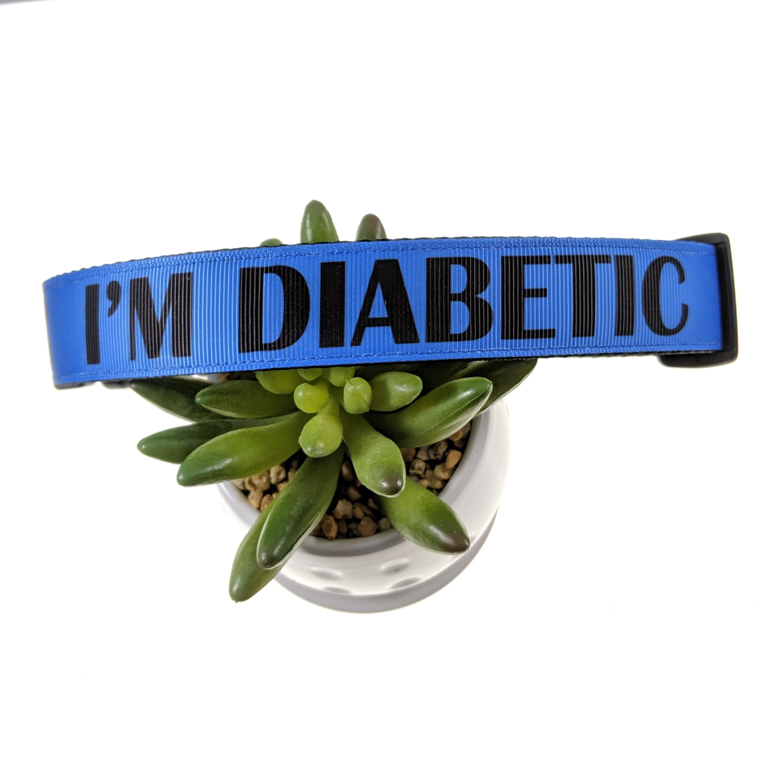 I'm Diabetic Dog Collar (Large)
