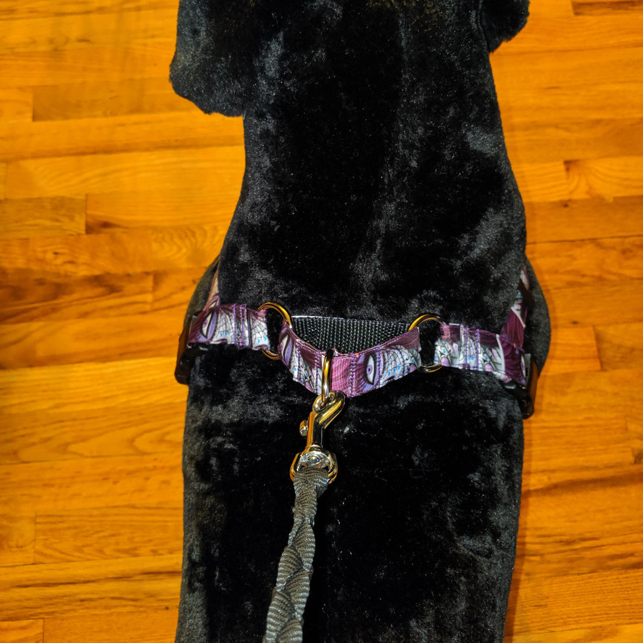 Rainbow Leopard No Pull Harness (M)