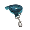 Teal leash (5')