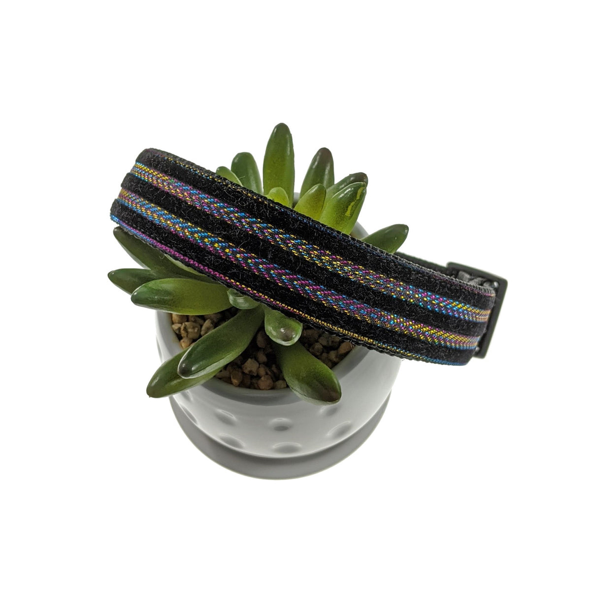 Black Velvet Dog Collar (Large)