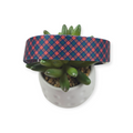 Red Cedar Argyle Dog Collar (Large)