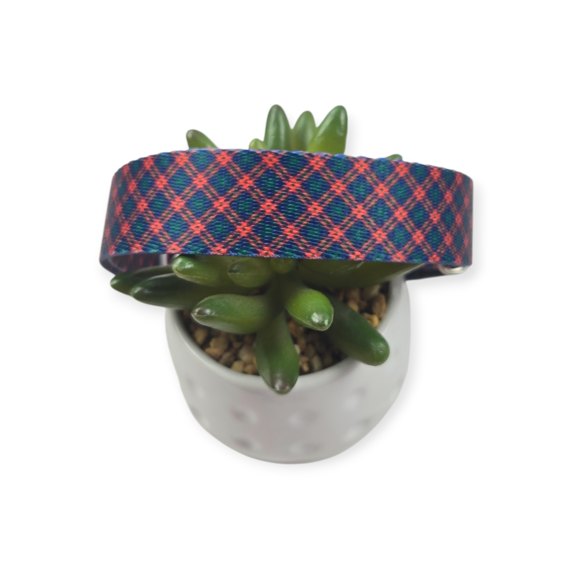 Red Cedar Argyle Dog Collar (Large)