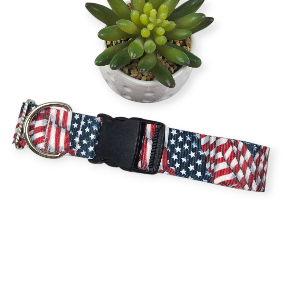 Flying Free Dog Collar (X-Large, 1.5" wide)