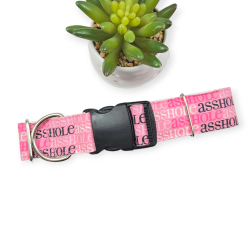 A$$hole on Pink Dog Collar (X-Large, 1.5" wide)