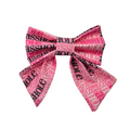 A$$hole on Pink Sailor Bow - 4"