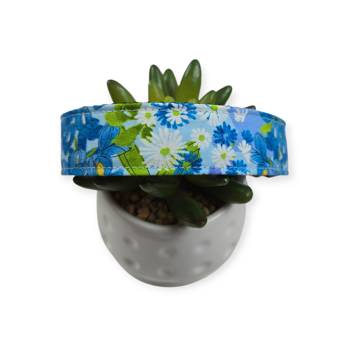 Wild Blossoms on Blue Dog Collar (Large)