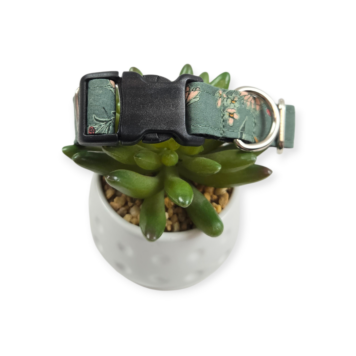 Pale Inflorescence Dog Collar (Medium)