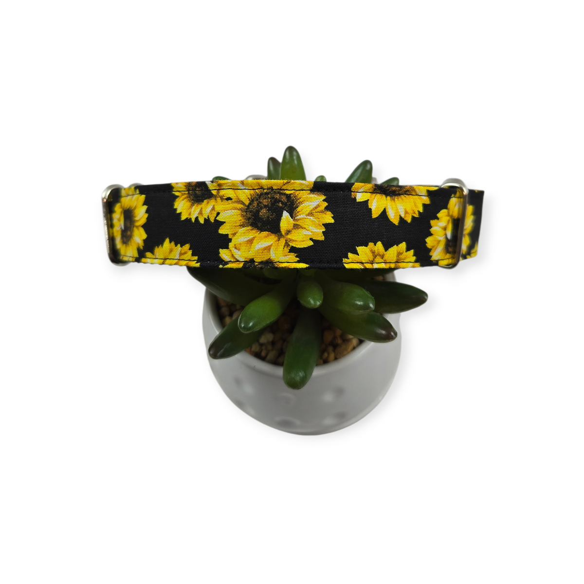 Sunflowers on Black Martingale dog collar (Medium, 1" wide)