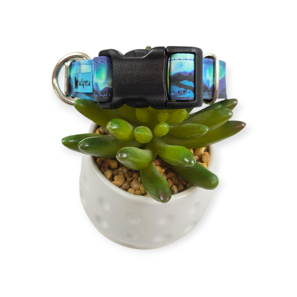 Mountains and Northern Lights Dog Collar (Small, 3/4" wide)