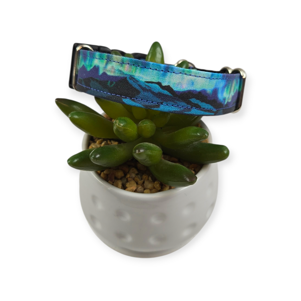 Mountains and Northern Lights Dog Collar (Small, 3/4" wide)