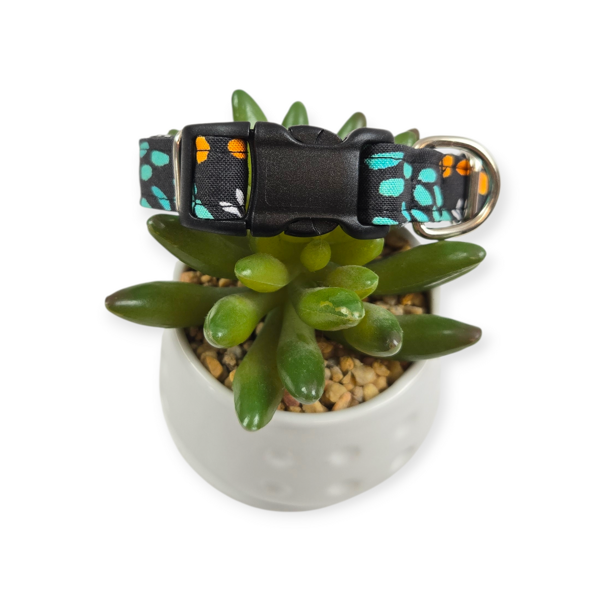 Neon Sketches Dog Collar (Small)