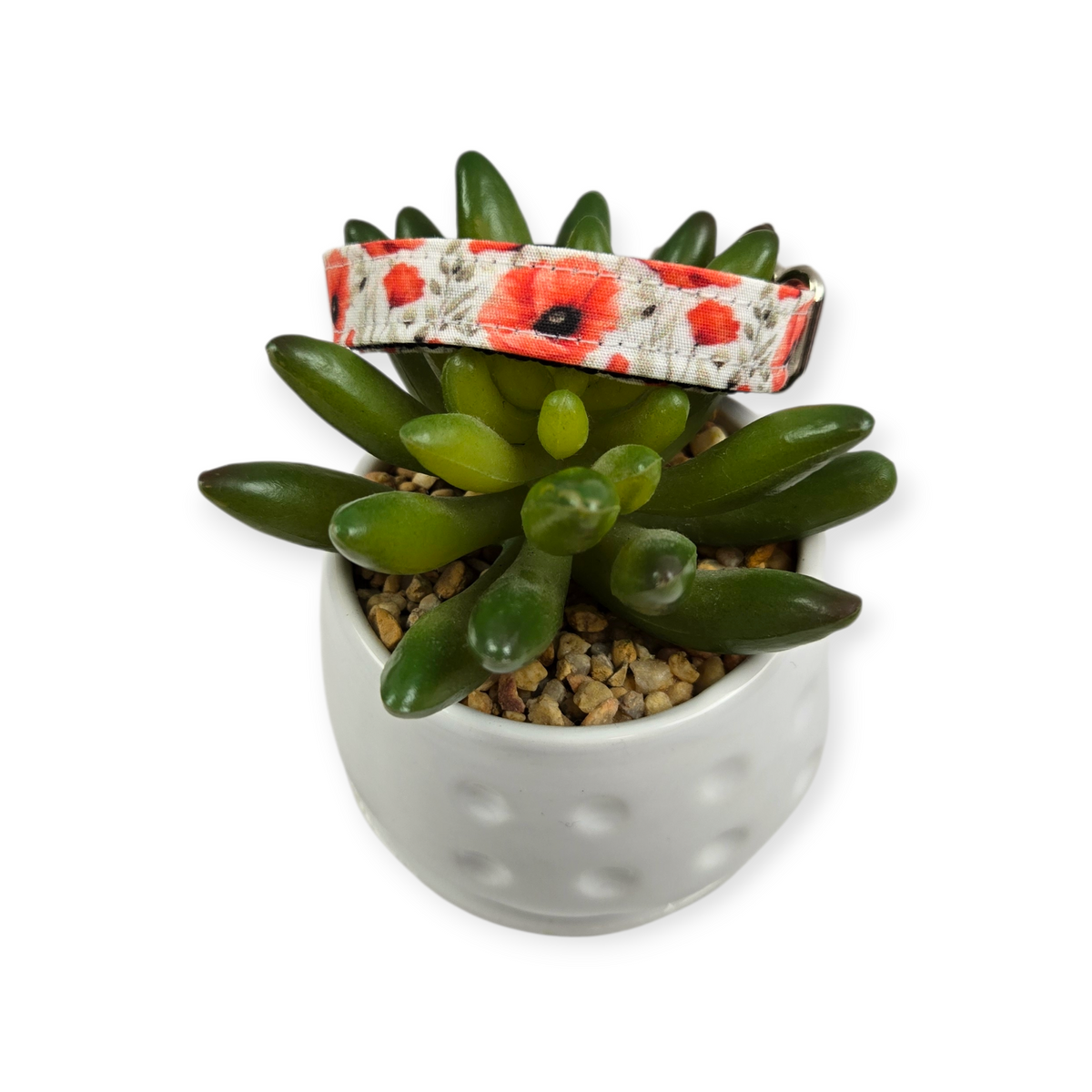 Poppy Fields Kitty Collar (XX-Small)