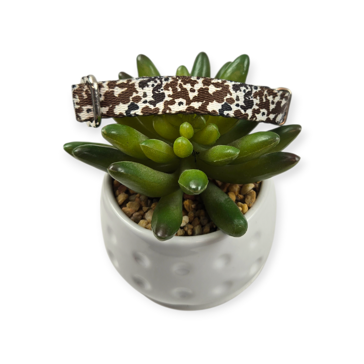 How Now Brown Cow? Kitty Collar (XX-Small)