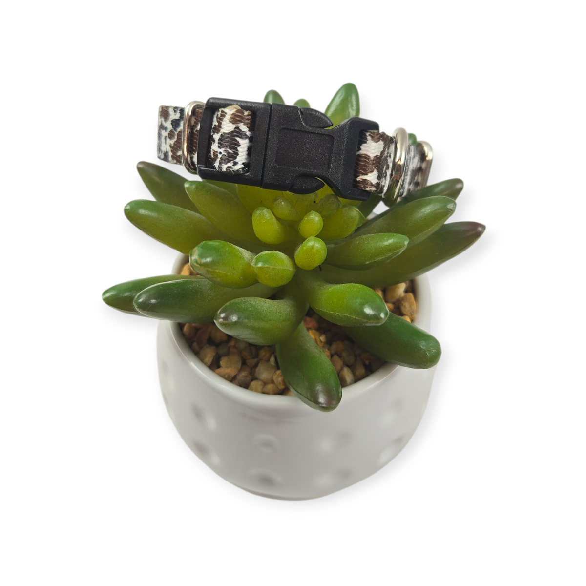 How Now Brown Cow?  Dog Collar (XX-Small)