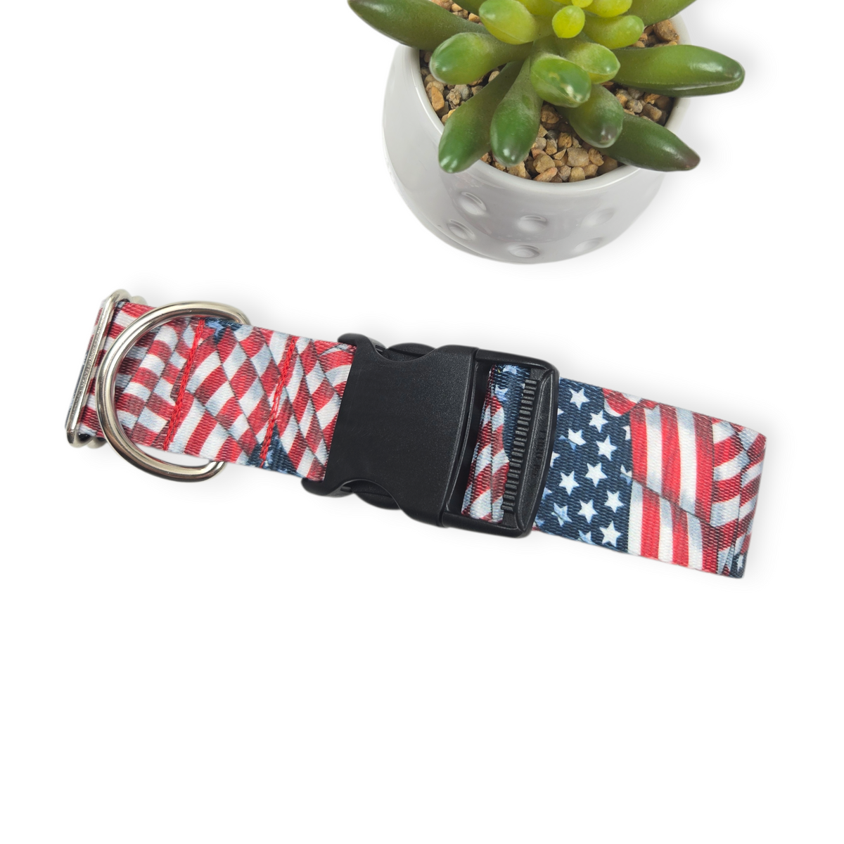 Flying Free Dog Collar (Large, 1.5" wide)