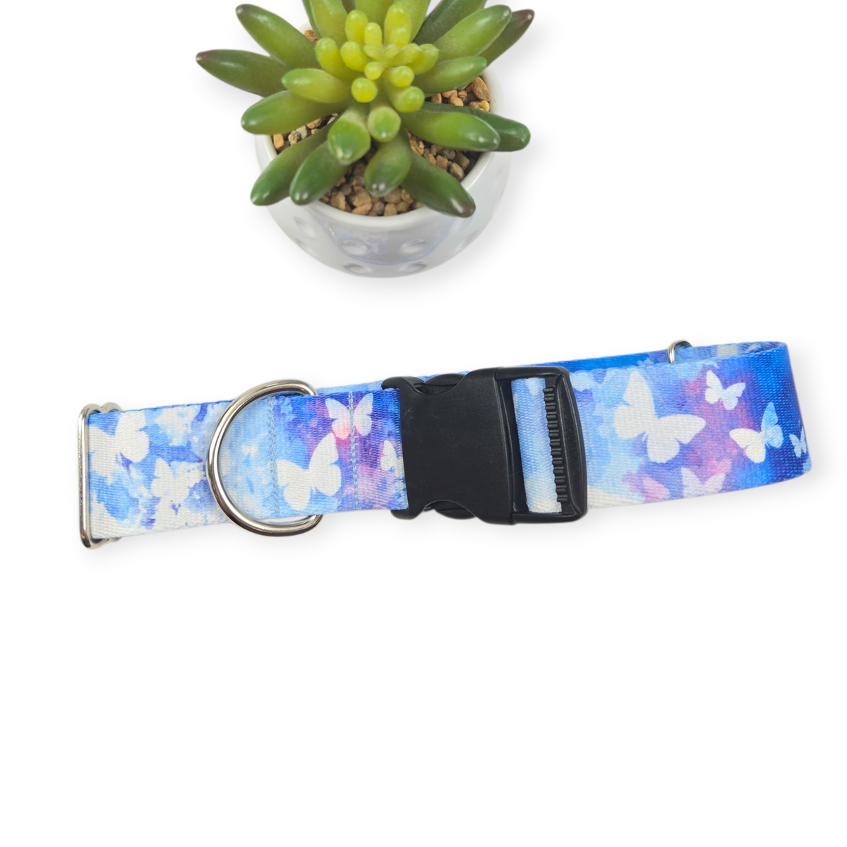 Watercolor Butterflies Dog Collar (X-Large, 1.5" wide)