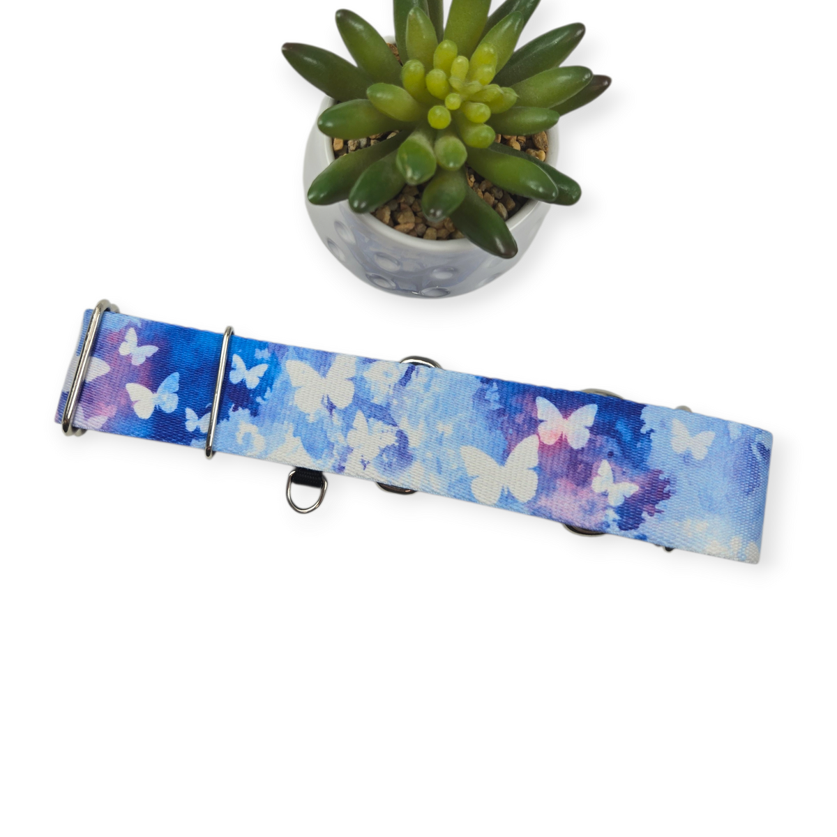 Watercolor Butterflies Martingale Dog Collar (Large, 1.5" wide)