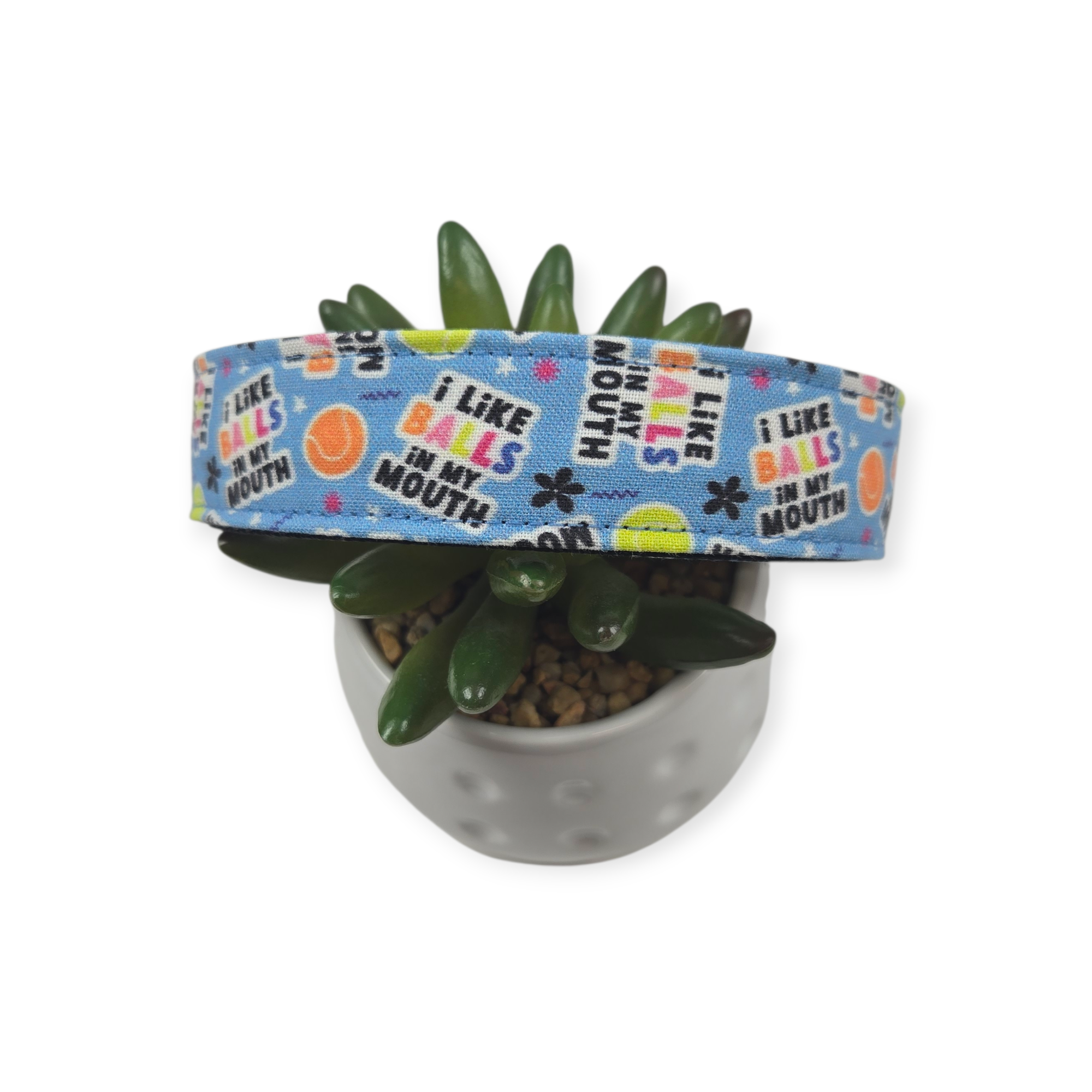I Like Balls Dog Collar (Large)