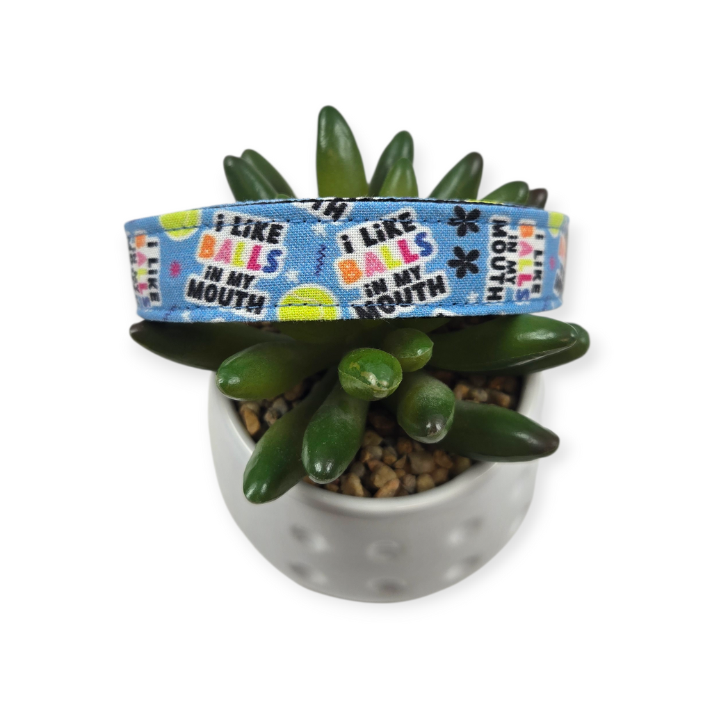 I Like Balls Dog Collar (Medium)