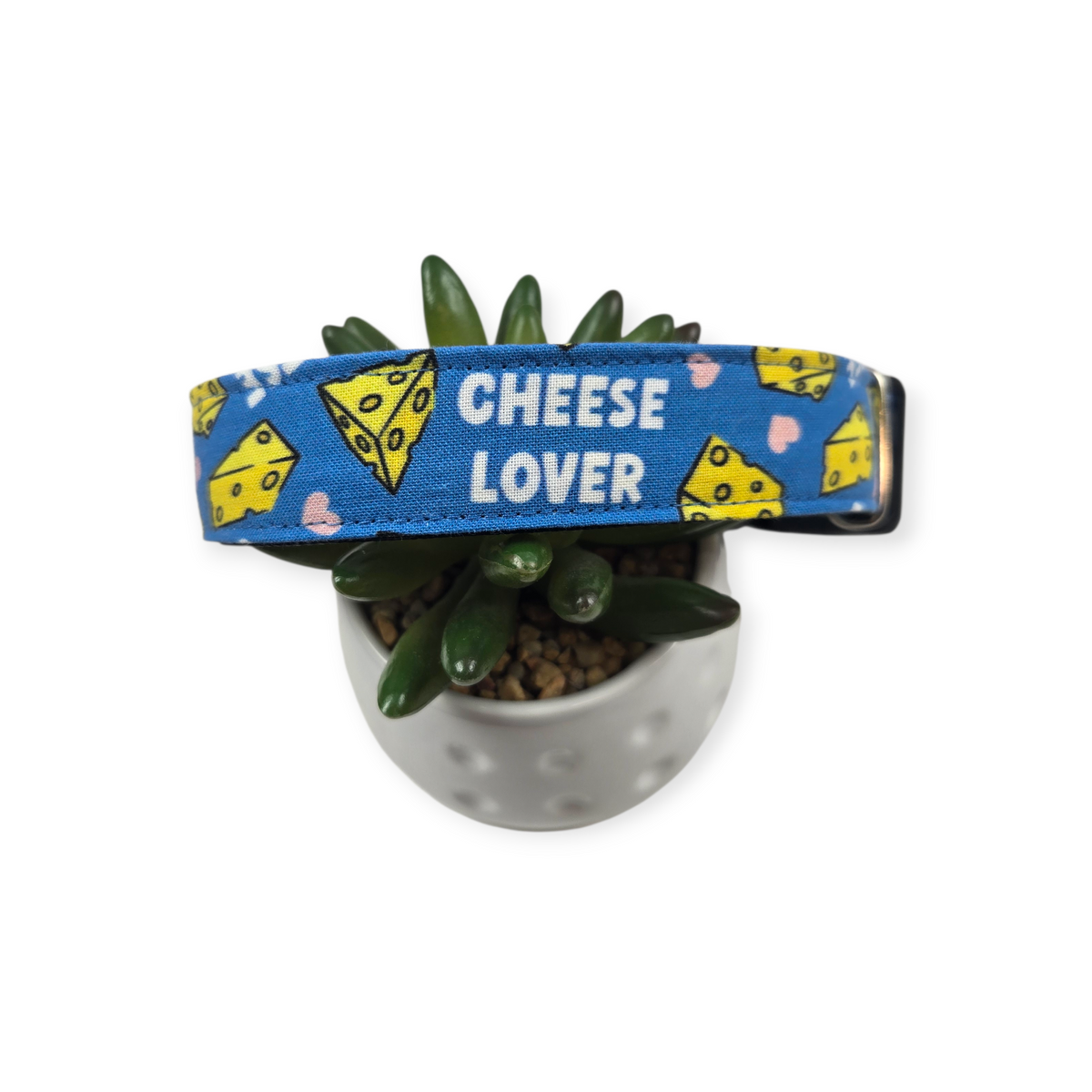 Cheese Lover on Blue Dog Collar (Large)