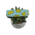 Cheese on Aqua Dog Collar (Large)