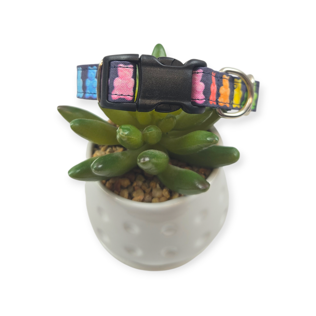 Gummy Bears Dog Collar (Small)