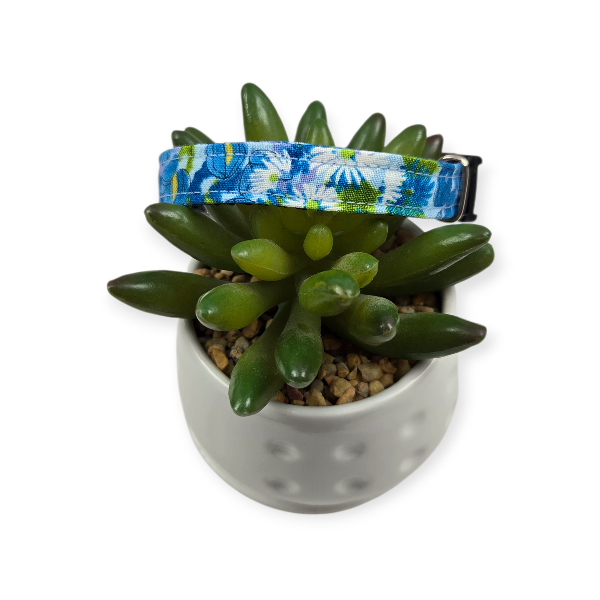 Wild Blossoms on Blue Dog collar (X-Small)