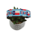 Texas Pride Dog Collar (Large)