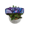 Purple Paisley Dog Collar (Large)