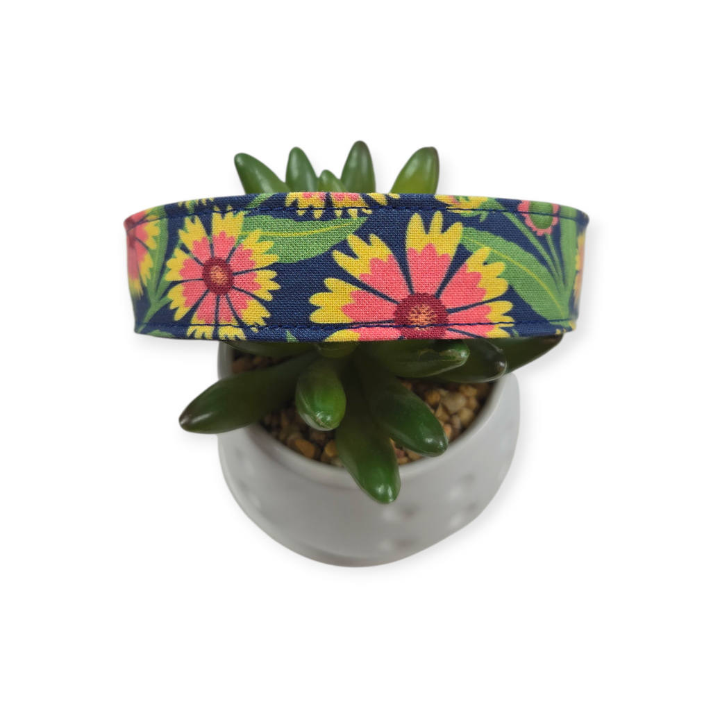 Gaillardia Floral Dog collar (Medium, 1" Wide)