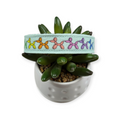 Rainbow Balloon Dogs Dog Collar (Medium)