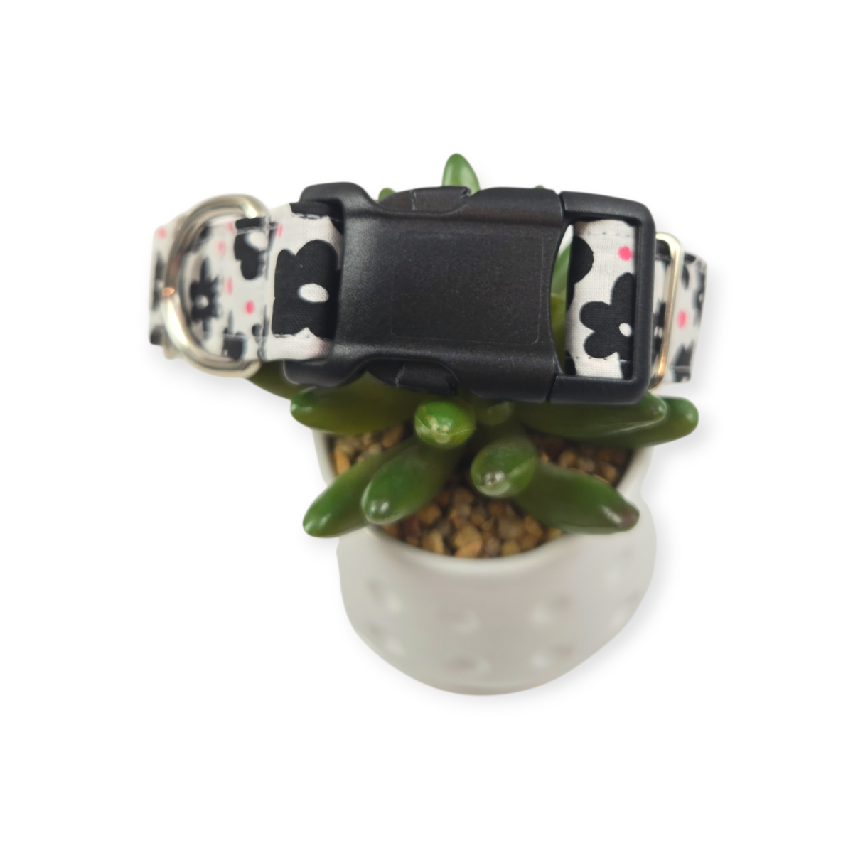 Black Daisies Dog Collar (Medium, 1" wide)