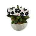 Black Daisies Dog Collar (Large)