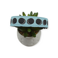 Cookies & Cream - Light Blue Dog Collar (Large)