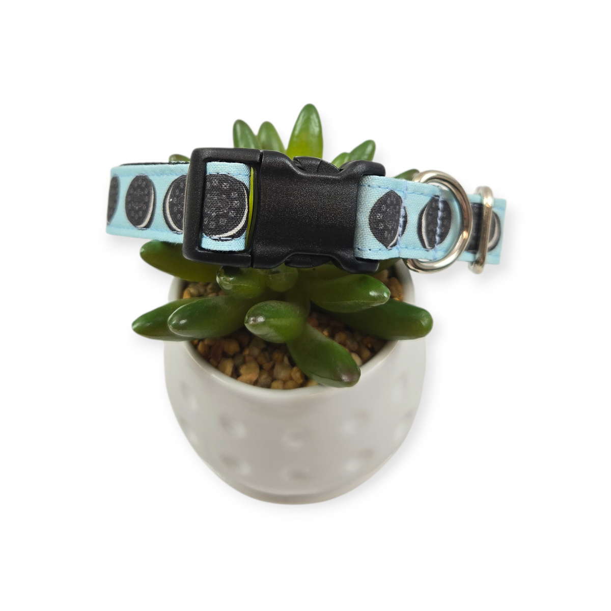 Cookies & Cream - Light Blue Dog Collar (Medium)