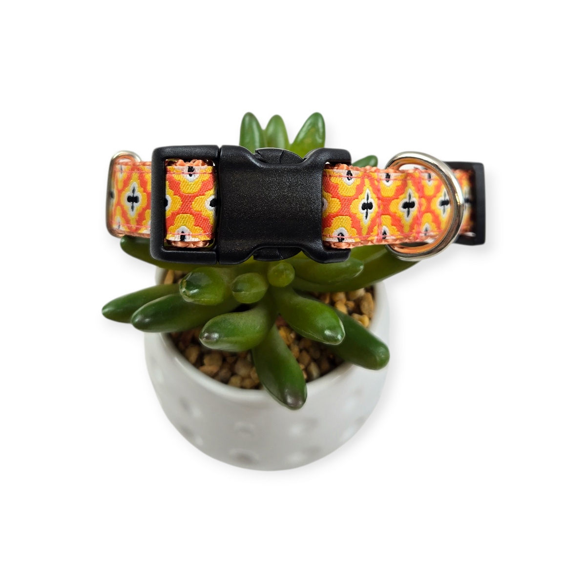 Feels Like Sunshine Dog Collar (Medium)