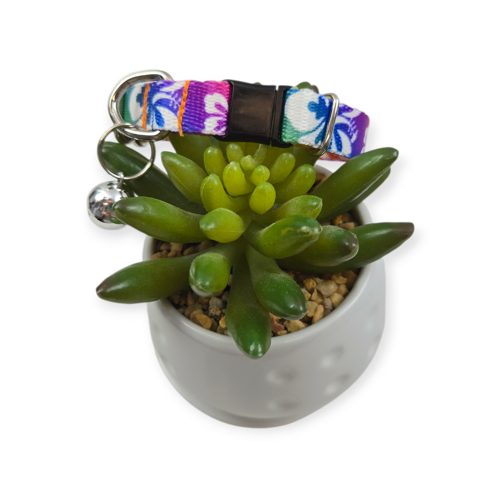 Rainbow Hawaiian Kitty Collar (XX-Small)