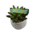 Flamingos Kitty Collar (XX-Small)