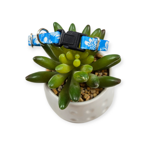Blue Hawaiian dog collar (XX-Small)