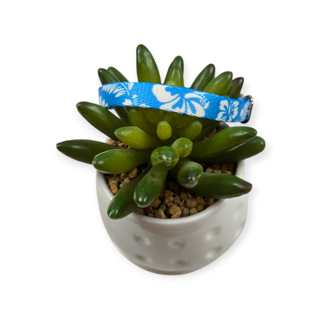 Blue Hawaiian dog collar (XX-Small)