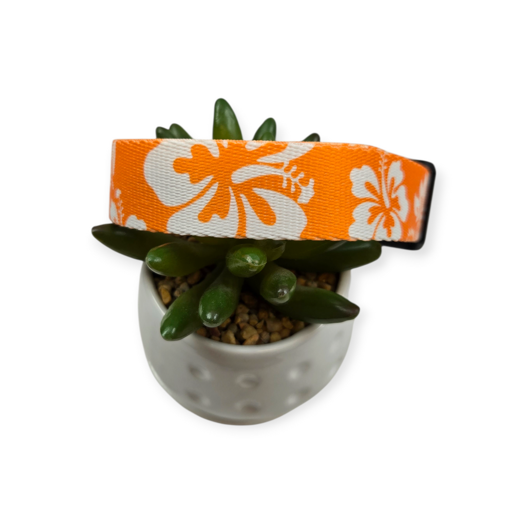 Orange Hawaiian Dog Collar (Medium, 1" wide)