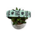 Total Shit Show Dog Collar (Large)